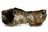 Polished Nydegger Plume Agate Slab - Oregon #334904-1